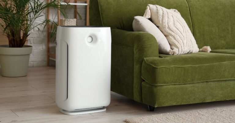 Which brand is best for air purifiers?